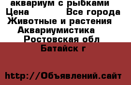 аквариум с рыбками › Цена ­ 1 000 - Все города Животные и растения » Аквариумистика   . Ростовская обл.,Батайск г.